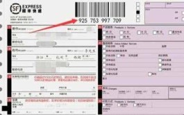 顺丰快递单号在哪（顺风快递 单号查询 ）