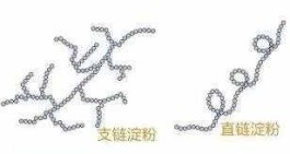 越光米的简单介绍（号称最好吃的大米 世界米王“越光米”）